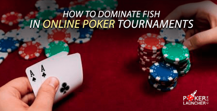 How to dominate fish in online poker tournaments.